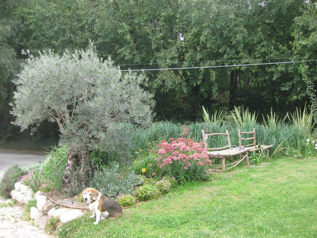 Agriturismo Campagnoletto Cavriana Zewnętrze zdjęcie