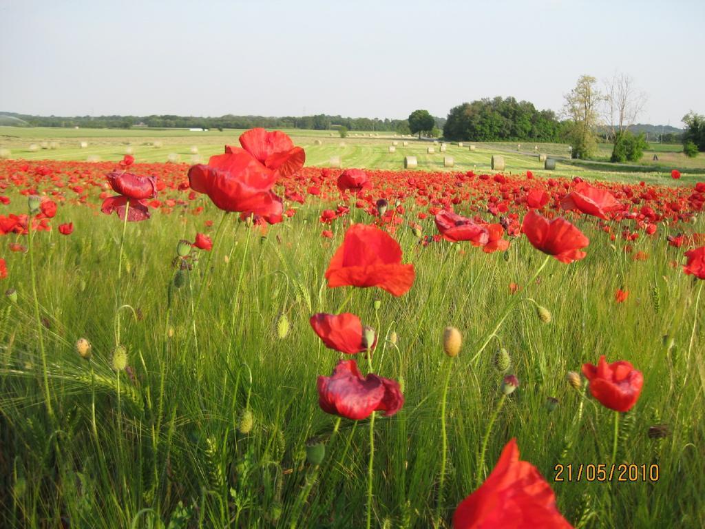 Agriturismo Campagnoletto Cavriana Zewnętrze zdjęcie