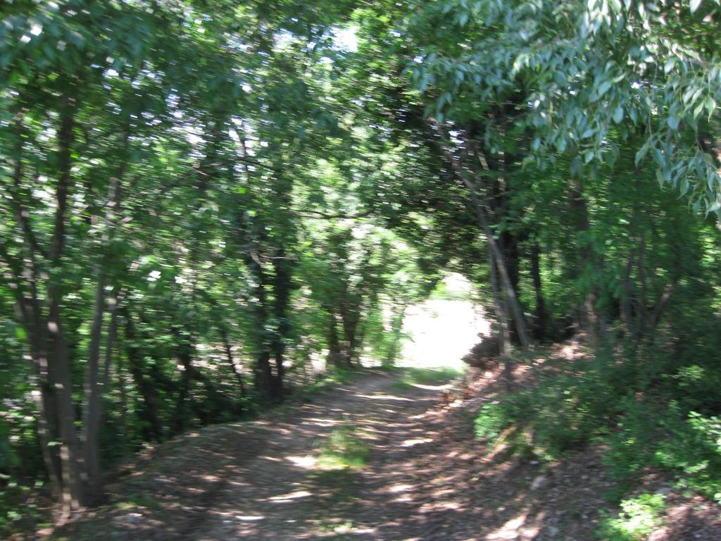 Agriturismo Campagnoletto Cavriana Pokój zdjęcie