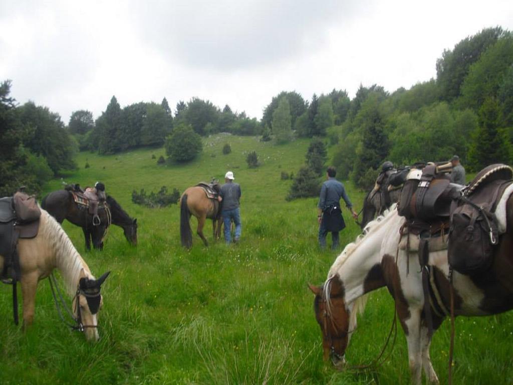 Agriturismo Campagnoletto Cavriana Zewnętrze zdjęcie