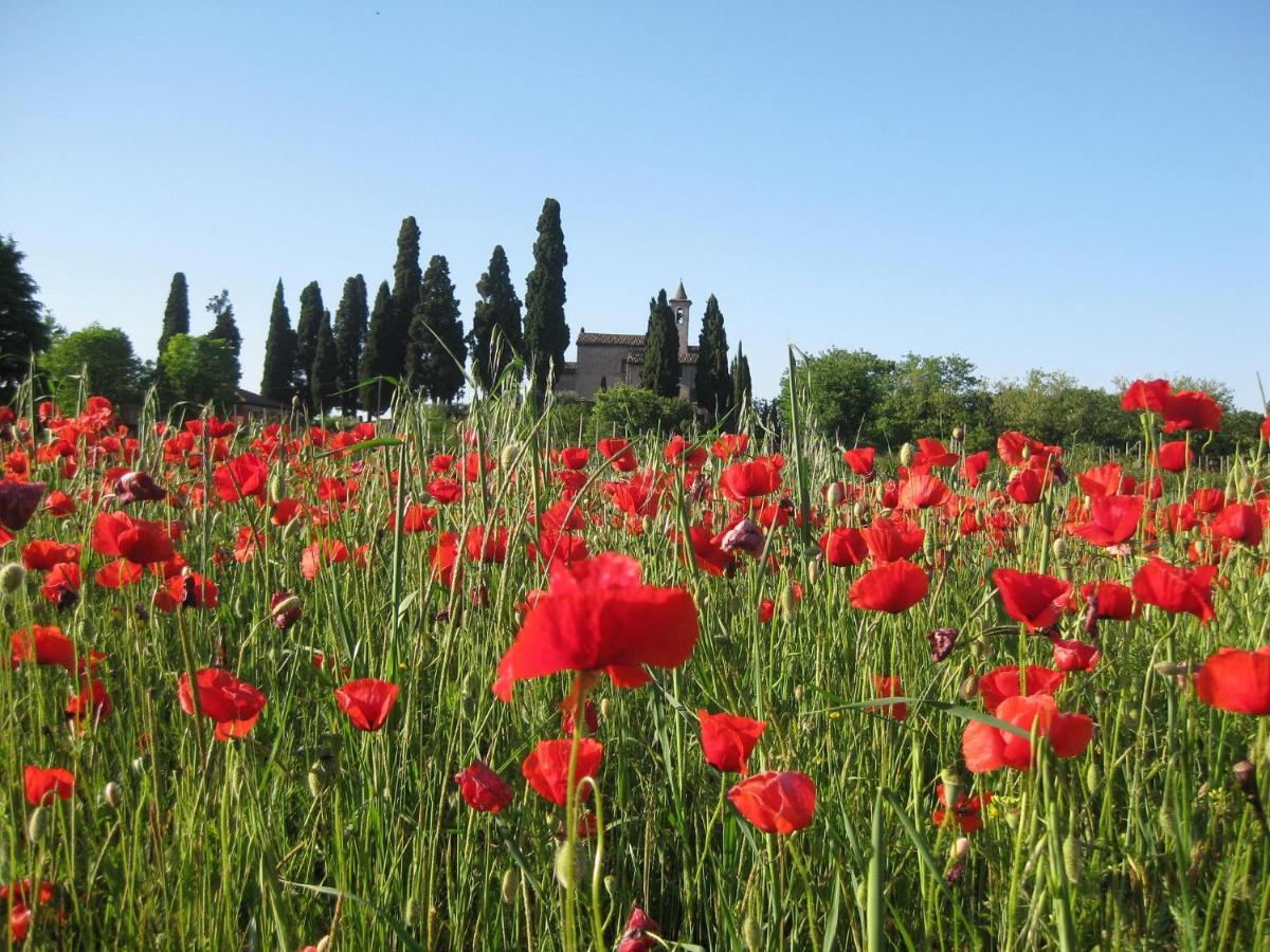 Agriturismo Campagnoletto Cavriana Zewnętrze zdjęcie